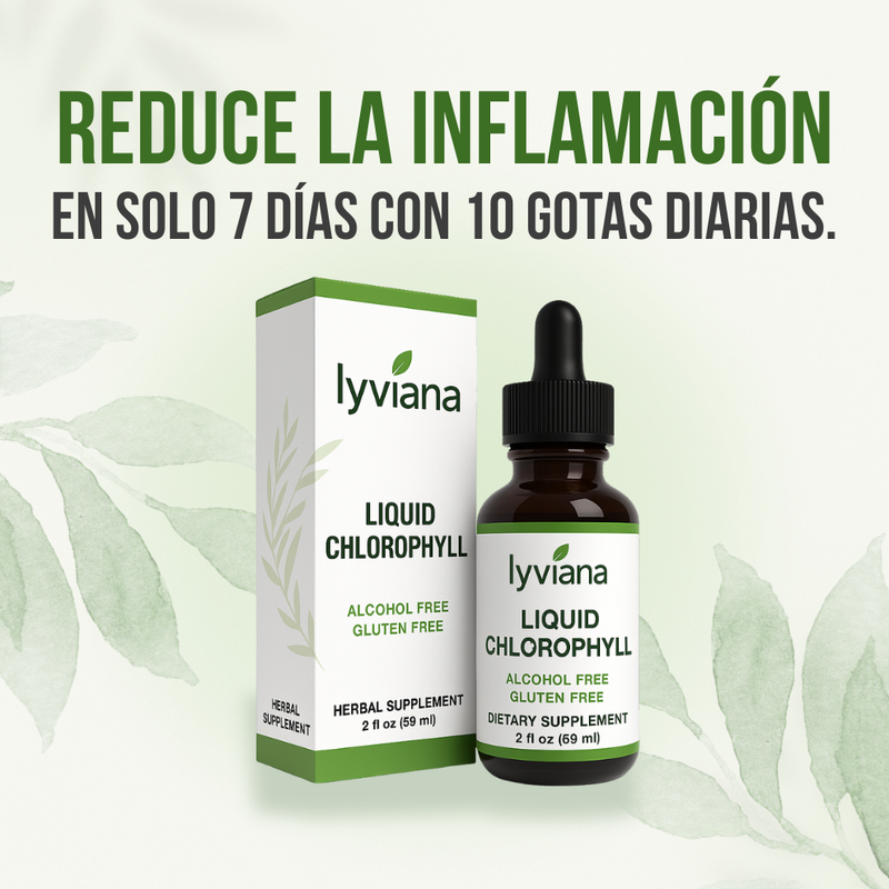 Gotas De Clorofila - Sabor menta